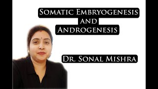 Somatic embryogenesis and Androgenesis by Dr Sonal Mishra [upl. by Ydollem]