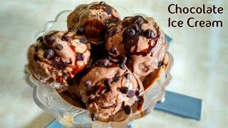 Chocolate Ice Cream Recipe using GMS and CMC Powder  Easy Homemade चाॅकलेट आइसक्रीम  Rakhi Recipes [upl. by Ruffina]