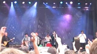 The Pogues  A pair of brown eyes Münster LIVE [upl. by Callean]