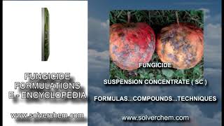 Fungicide Emulsifiable Concentrate EC Formulation And Applications [upl. by Nauqyt]