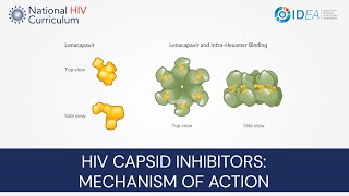 MiniLecture Series HIV Capsid Inhibitors Mechanism of Action [upl. by Jeramey375]