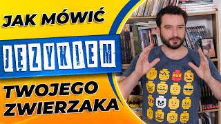 Jak mówić językiem Twojego zwierzaka  NEWSY BEZ WIRUSA 122  Karol Modzelewski [upl. by Ferri89]