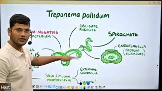 Trepanoma pallidum in Hindi II By Sanjay Sir [upl. by Karine]