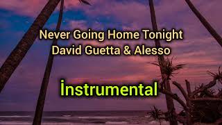 Never Going Home Tonight  David Guetta amp Alesso instrumentalinstrumental davidguetta trending [upl. by Roydd]