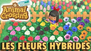 Créer une Fleur Hybride Rare  Animal Crossing New Horizons [upl. by Avirt]