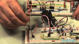 Circuitry Breadboard Tutorial [upl. by Gisser]