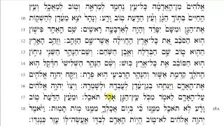 Torah Reading  Genesis Chapter 2 HD [upl. by Vonny]