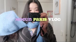 FRKR sub🇫🇷파리 10년차 Vlog 부엌가위로 머리자르고 거지존 입성 Foundation Louis Vuitton 몽마르뜨 산책 프랑스어 브이로그 바이올리니스트 [upl. by Lehman]