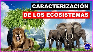 CARACTERISTICAS DE LOS ECOSISTEMAS 🦁🌳🏞🪐 semarnatmexico greenpeace ecosis [upl. by Ymaj]