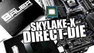 der8auer SkylakeX DirectDieFrame en [upl. by Agnot]