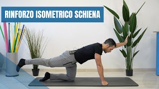 Esercizi ISOMETRICI per la schiena allenamento completo di RINFORZO [upl. by Yrrah865]