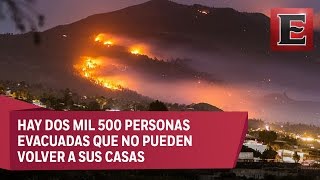 Incendio forestal en La Palma arrasa cuatro mil hectáreas [upl. by Ardnael]