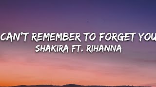 Shakira  Cant Remember to Forget You Lyrics ft Rihanna [upl. by Alemac]