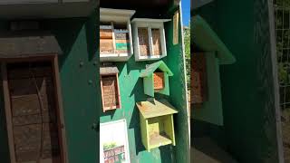 Tiny homes for native bees at Welland Community Orchard [upl. by Enedan882]