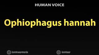 How To Pronounce Ophiophagus hannah [upl. by Eneja]