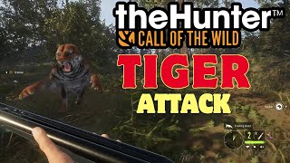 Tiger Attack  Kaplan Saldırısı [upl. by Rustie]