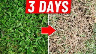 Crabgrass Destroyed in 3 Days  How to Get Rid of Crab Grass [upl. by Nairdna598]