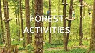 North York Moors  Forest Activities [upl. by Elbring241]