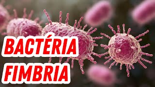 Fimbria Bacteriana Como Elas se Prendem e Causam Infecçõesquot [upl. by Tezile]