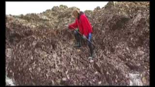 Percebeiros en cabo peñes asturies [upl. by Ibmat]