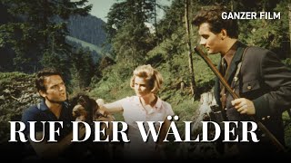 Ruf der Wälder 1965  Ganzer Film  HeimatfilmeTV [upl. by Liagiba146]