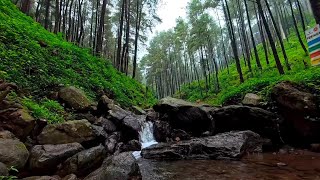 Soothing Waterfall ASMR 11 Hours of Bliss for StressFree Sleep  LuLu Sounds [upl. by Codi]