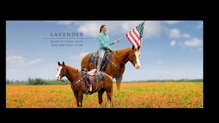 quotMeet Lavenderquot Sorrel Quarter Paint Mare For Sale AthleticRanchRopingCow Horse [upl. by Mairym]