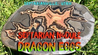 Septarian Nodule Rockhounding Utah [upl. by Lilias]