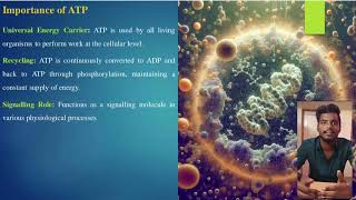 Adenosine Triphosphate [upl. by Subir]