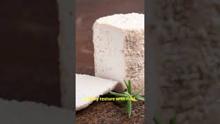 Discover Charolais AOP France’s Goat Cheese Treasure  CheeseHeavenTV [upl. by Israeli445]