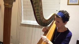 Hornpipe On The Harp [upl. by Secnirp]