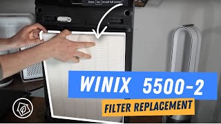 How to Change the Filter on Your Winix 55002 [upl. by Esiralc]