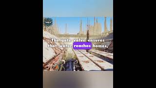 🔥Function of GATE VALVE shorts plumbingvalve gatevalves [upl. by Ireg]