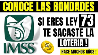 🔥NOTICIA IMPORTANTE PENSION IMSS💥Si Eres Ley 73 ADULTO MAYOR TE SACASTE LA LOTERÍA [upl. by Alliw]