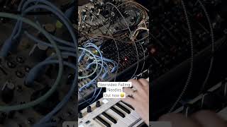 eurorack modular makenoise intellijel sealegs STO ambient idm [upl. by Guthry]