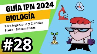 Guía IPN 2024  Biología  Pregunta 28  Área Físico  Matemática [upl. by Nylazor]