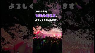 帰国まであと45日🎍最高な景色で2024年の幕開けじゃあ～🔥 ワーホリ オーストラリア なすの天ぷら シドニー カウントダウン 花火 オペラハウス ハーバーブリッジ [upl. by Carma]