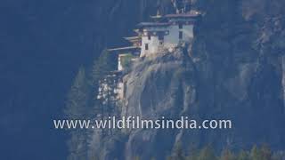 Taktsang Monastery  Tigers Nest Monastery in Paro Bhutan [upl. by Tsui770]