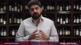 Experimenta Malbec Karim Mussi Saffie nos describe el ALTOCEDRO Gran Reserva Malbec [upl. by Syla]