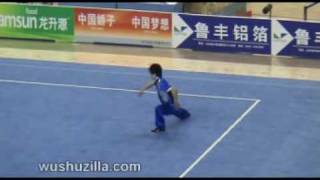 Wang Fei SND  MChangquan 11th All China Games [upl. by Haimarej]