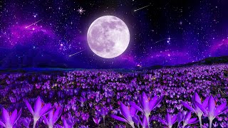 Good Night Music 💜 Fall Asleep In Under 5 Minutes 🎵 Calming Deep Sleep Music [upl. by Alol]