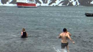 Polar Plunge at Whalers Bay  Deception Island  Antarctica  November 2010 [upl. by Ellainad]