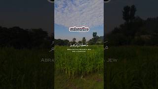 surah Al imran سورہ ال عمران relaxingsounds quranrecition short muslim islamicprayer [upl. by Yasmar]