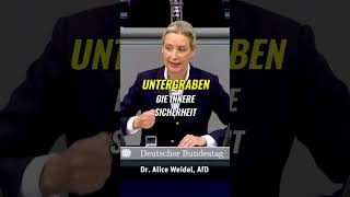 Die Heimat und Sicherheit der Deutschen ist bedroht afd [upl. by Remmos]