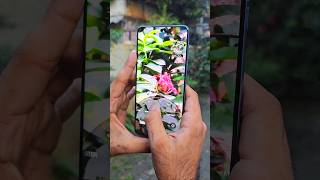 Oppo Find X8 Pro Camera Test 🔥 [upl. by Dlanor955]