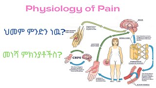 Pain Physiology የህመም መነሻ ምክንያቶች ምንድናቸው [upl. by Mattheus]