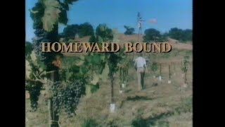 Homeward Bound 1980 Trailer [upl. by Zere458]