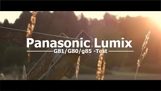 Forest  PANASONIC LUMIX G80G85G81 CINEMATIC footage  Handheld  Gebbi [upl. by Raynor279]