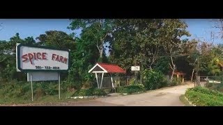 Belize Spice Farm amp Botanical Garden [upl. by Selassie894]