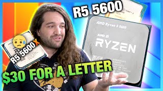 AMD Ryzen 5 5600 vs i512400 amp 5600X CPU Review amp Benchmarks [upl. by Ayatnwahs]